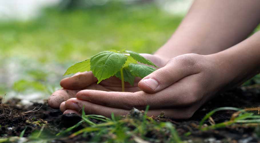 Ascent Petrochem Holdings Co., Limited