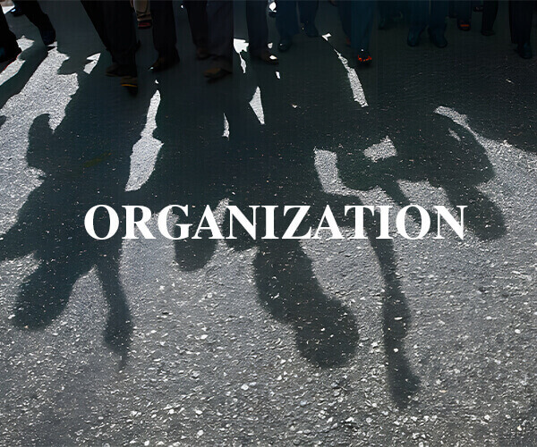 Ascent Petrochem Holdings Co., Limited